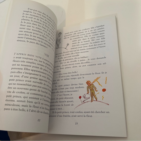 Set of 2 books le petit prince and the little prince english and french - Picture 9 of 10